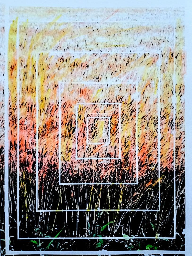 ＃ムギ畑の絵です