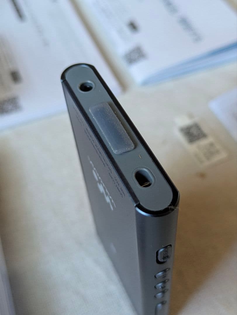 SONY ／WALKMAN Aシリーズ NW-A55 64GマイクロSD付