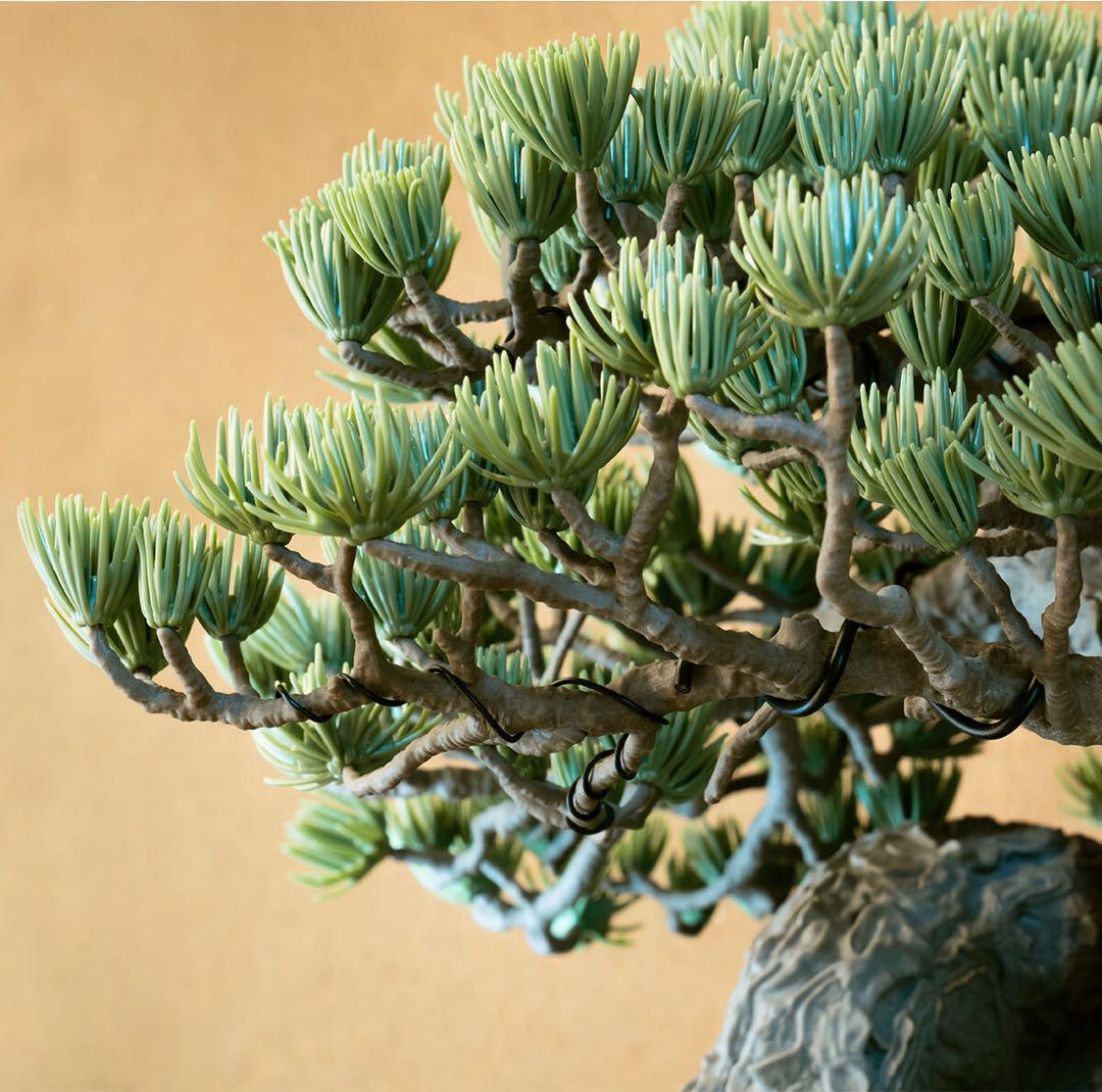 NEIGHBORHOOD SRL BANDAI BONSAI ネイバーフッド盆栽