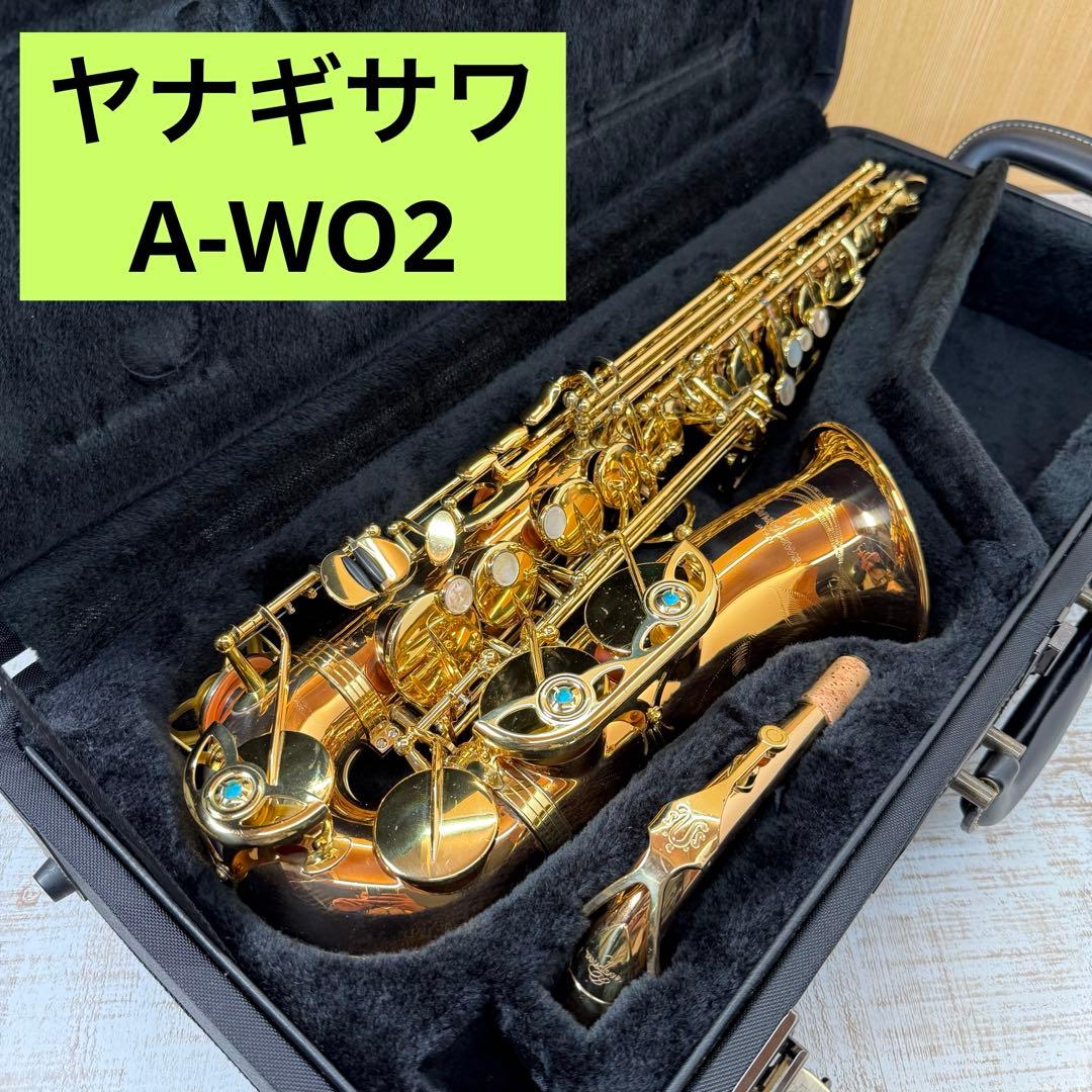 YANAGISAWA ヤナギサワ　アルトサックス A-WO2 ケース付き