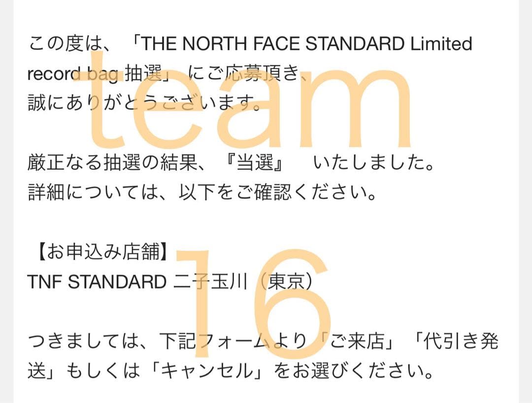 DJ機材 THE NORTH FACE Limited record bag 7inch