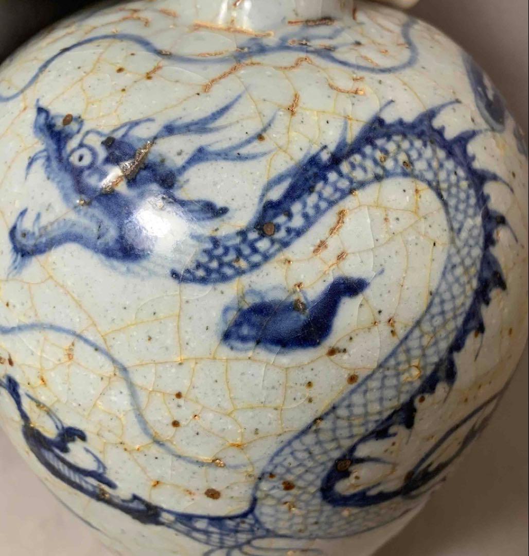 中国 染付龍絵梅瓶　f2250917