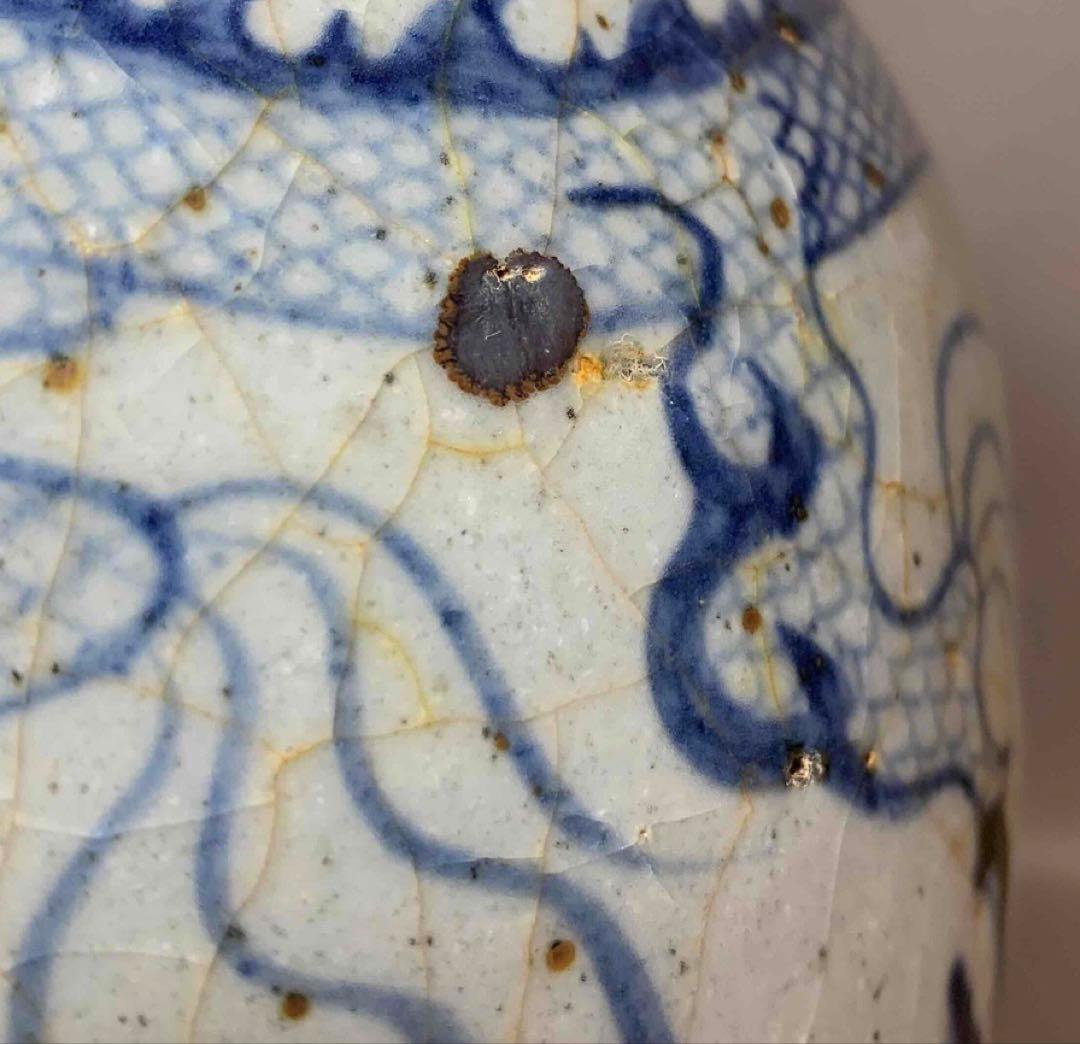 中国 染付龍絵梅瓶　f2250917