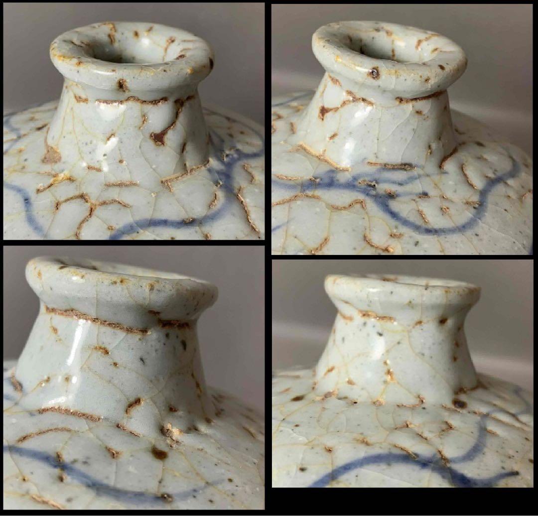 中国 染付龍絵梅瓶　f2250917