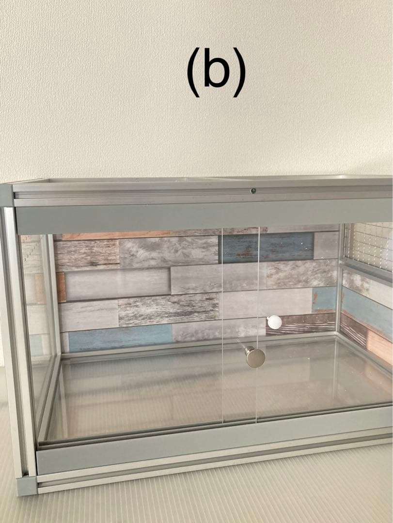 小動物、爬虫類