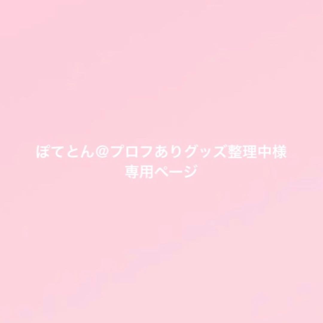 専用ページ Chip Seagull Bag Charm カモメ