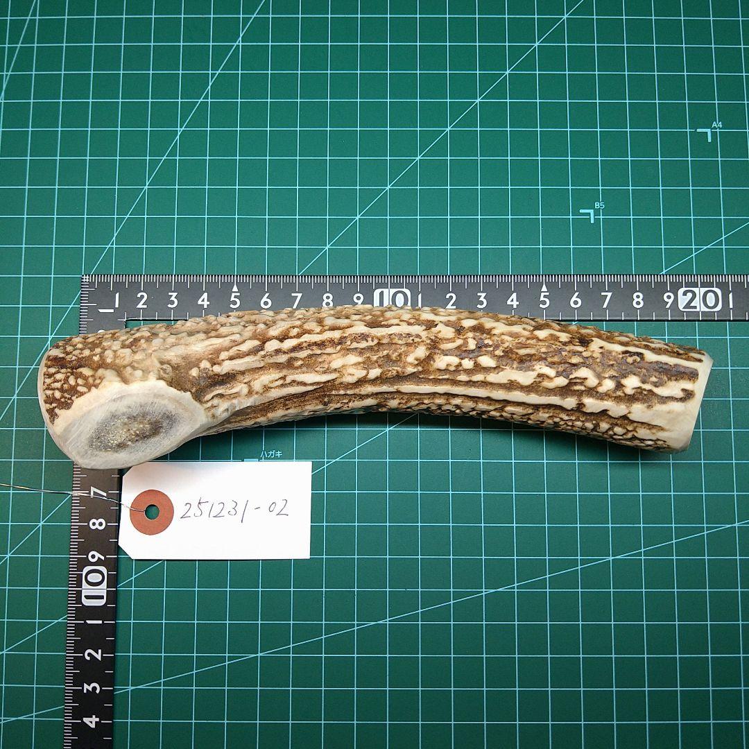 [あ]えぞ鹿の角 愛犬のおもちゃ