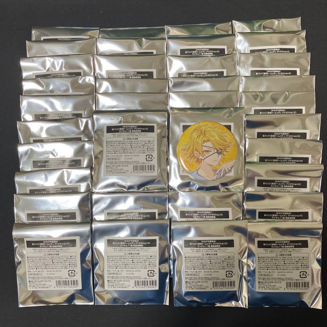 レグ様　たっつんさん　缶バッジ42個セット　東京ドームシティ