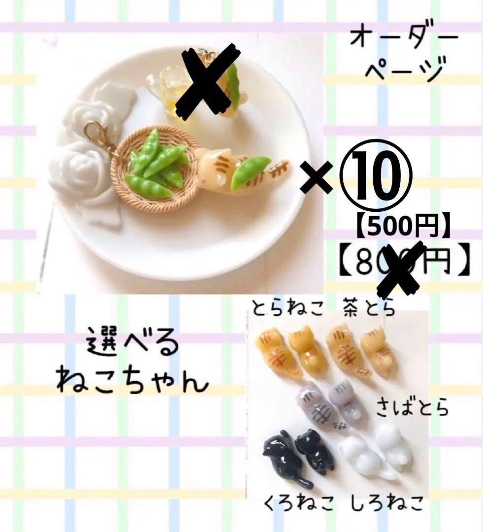 【KAKORO·͜·⭑】