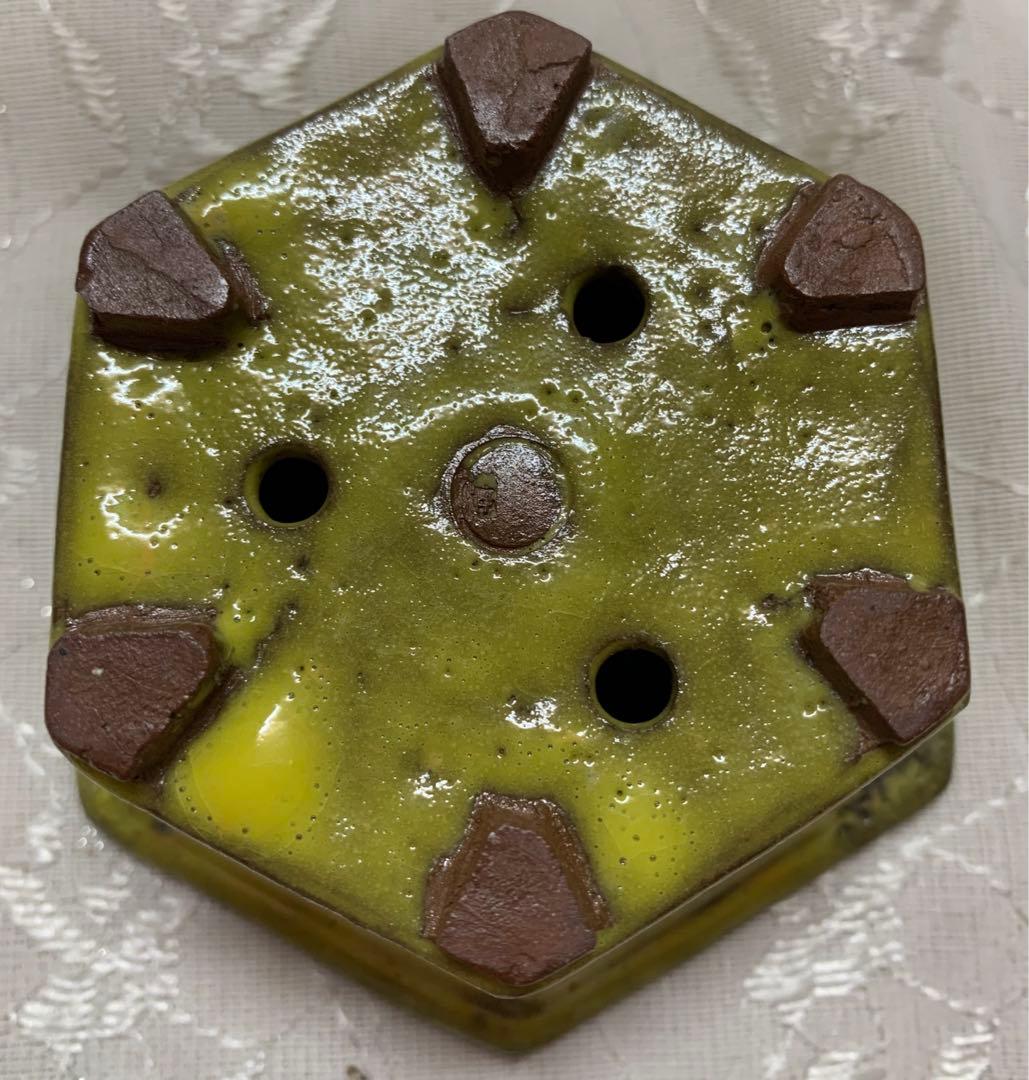 六角　盆栽鉢　黄