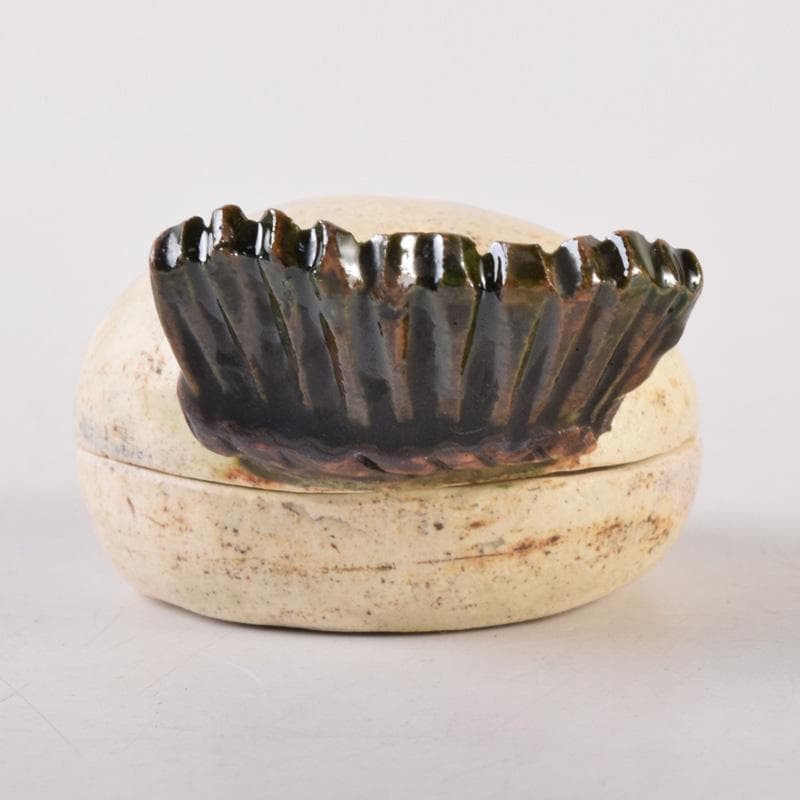 茶道具　白倉窯　伊村彰介作　蕪形　香合　共布共箱　V　8128