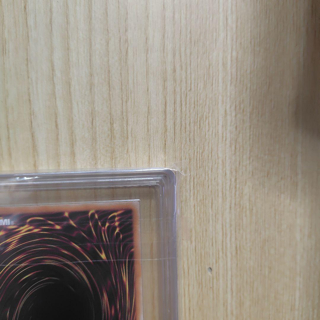 ホーリー・ナイトドラゴン 25th ars10 鑑定書付き