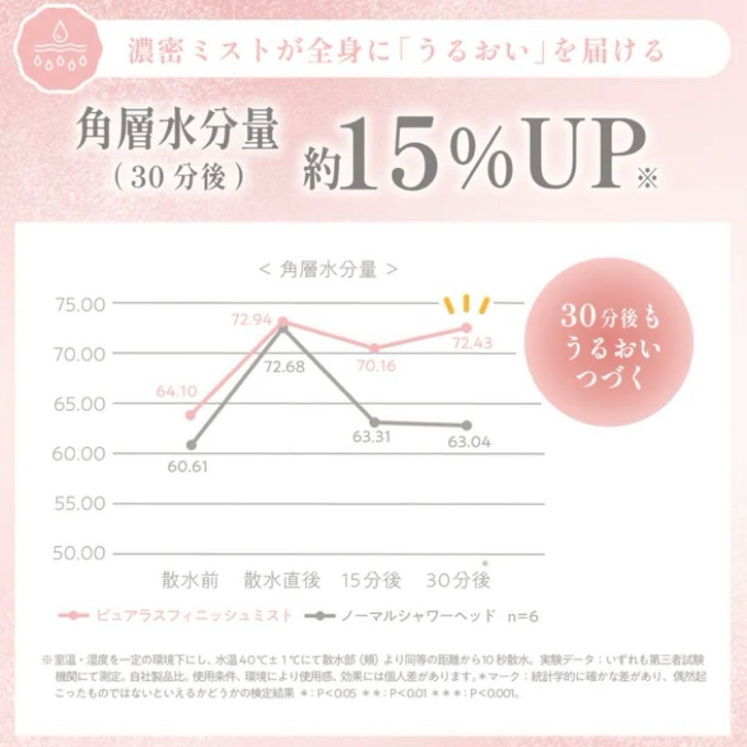 ピュアラスフィニッシュミスト　スターターキット