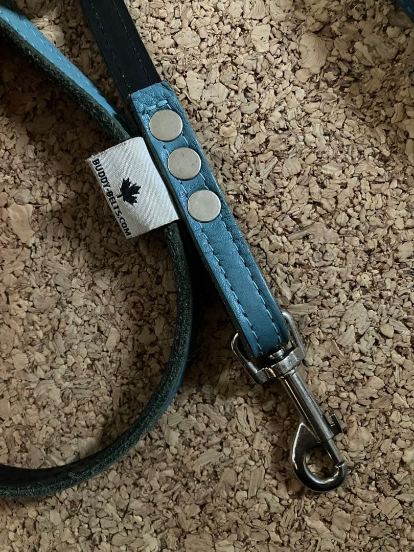 バディベルト　オールレザー 限定カラー ハーネス５号とリードS