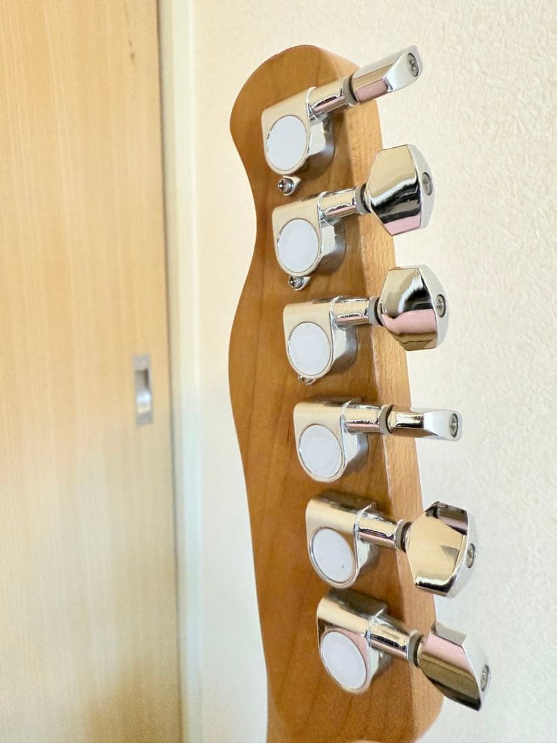 【ほぼ新品】Bacchus BTE-1-RSM/M BLK