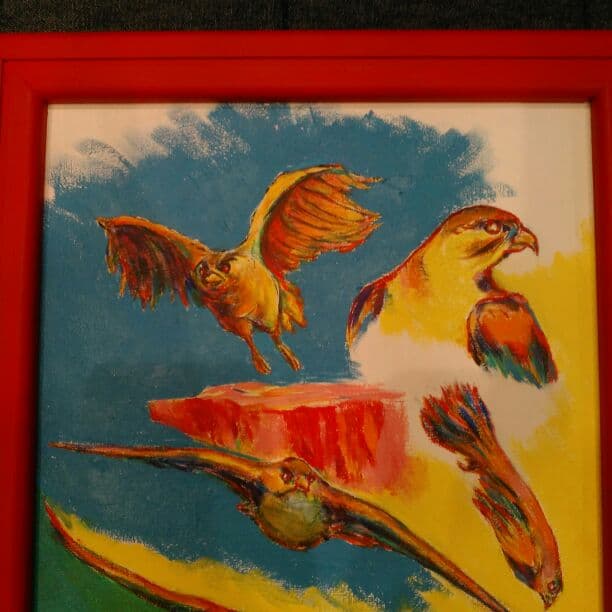 アメリカハヤブサ