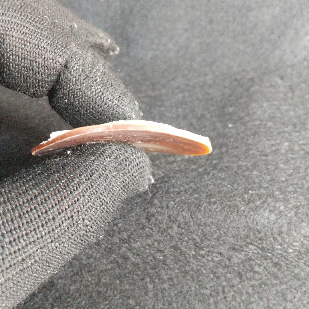 ✨美品✨ ニーノ・アメンドーラ シェルカメオ ルース