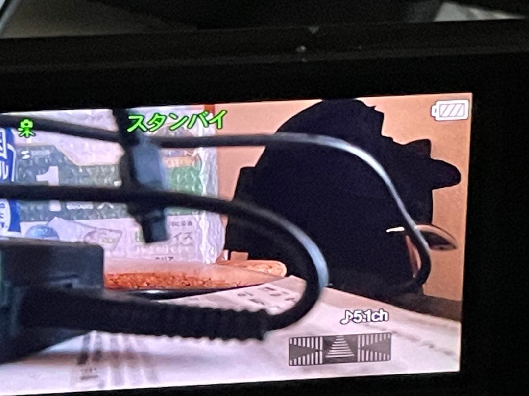 SONY HDR-CX560 ビデオカメラ 本体