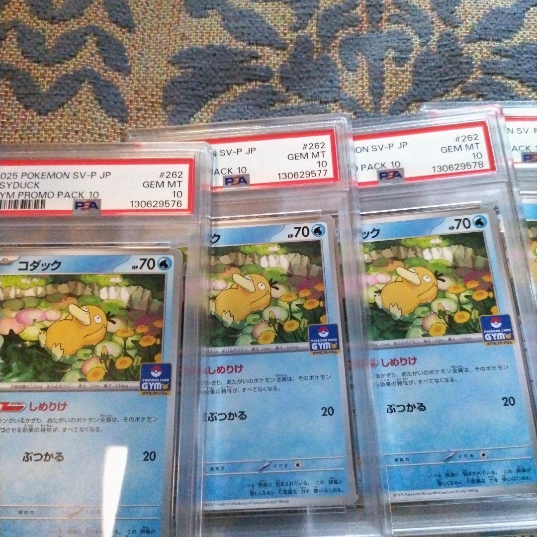 【PSA10】コダック　262/SV-P ジムプロモ　ポケモンカード