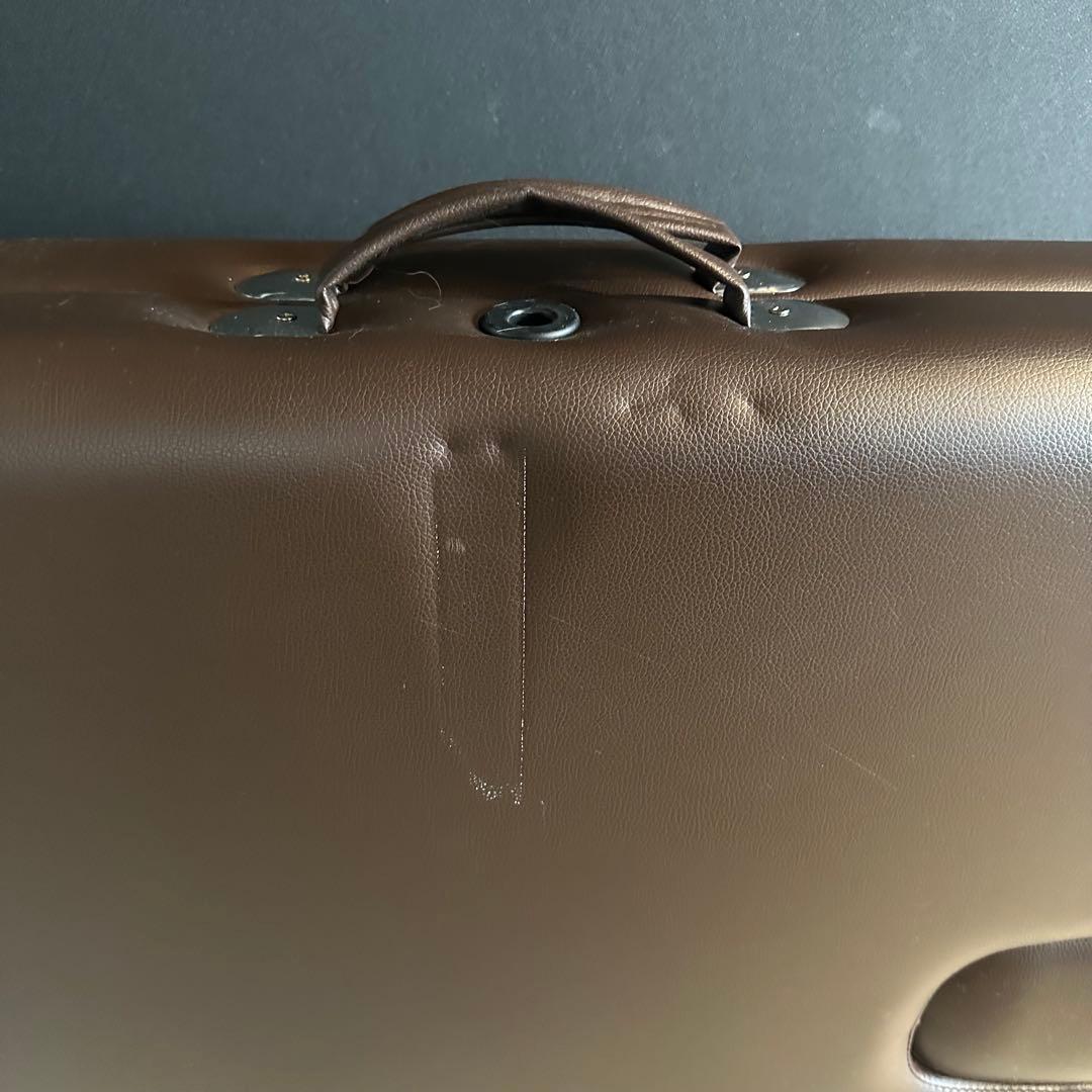 ニューステラV new stella V マッサージベット