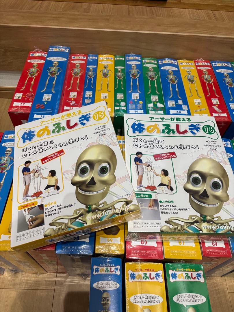 体のふしぎ 人体模型シリーズ