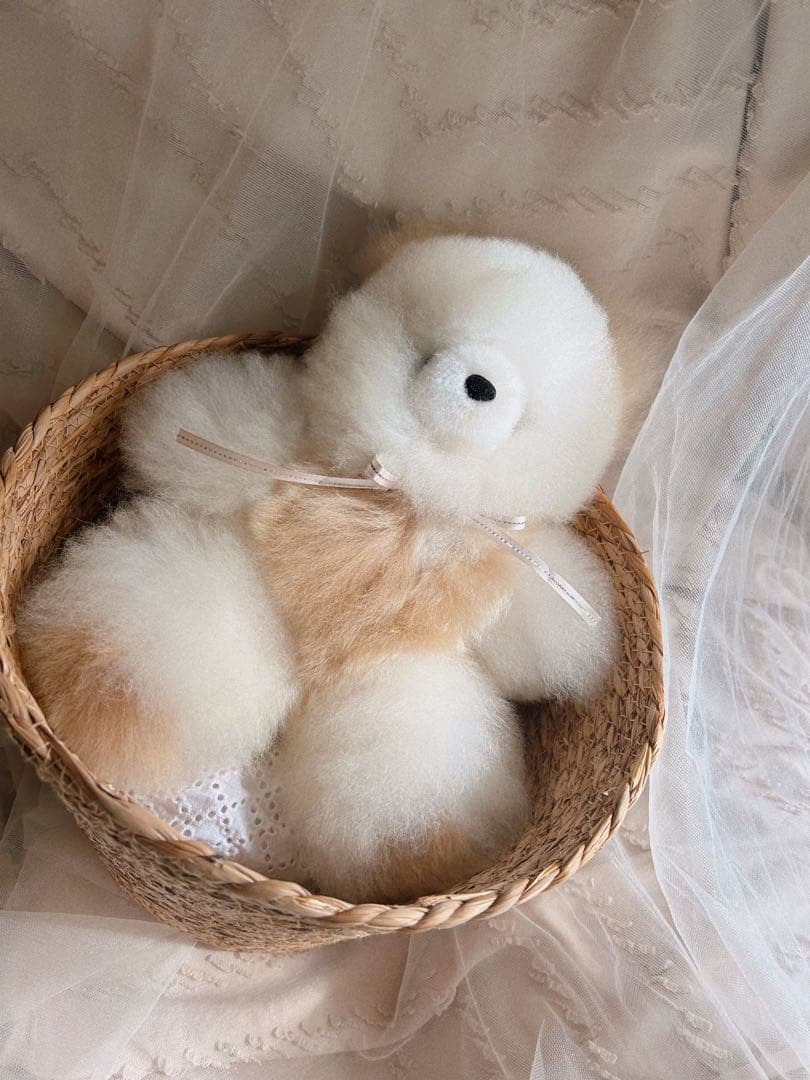 ふわふわアルパカテディベア (ペルー直輸入) ホワイト×ベージュ