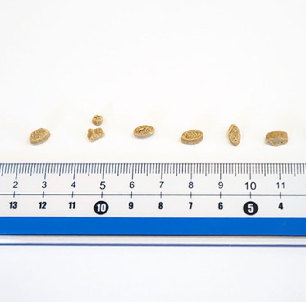 yumyumyum！ヤムヤムヤム！健康マネジメント 腎臓 1.3kg ３袋