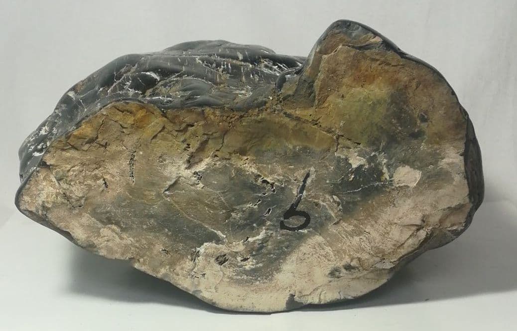 木化石　置物　鑑賞石　台座付