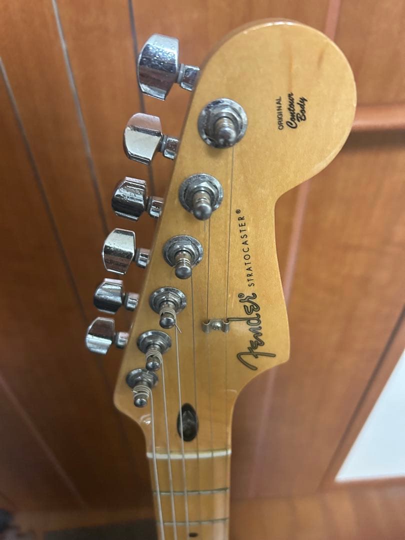 ギター Fender / Player Stratocaster Tidepool