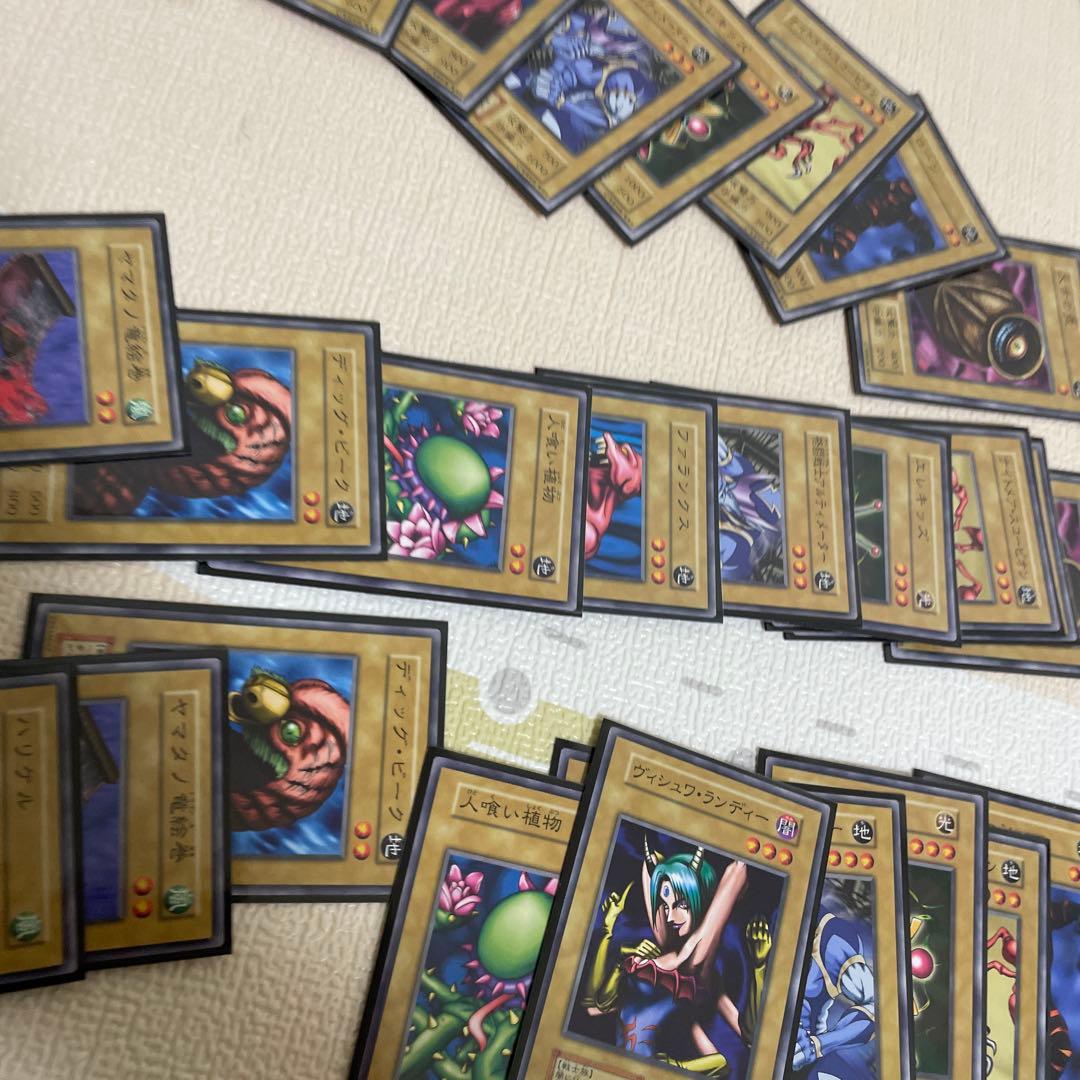 カイザー2セット