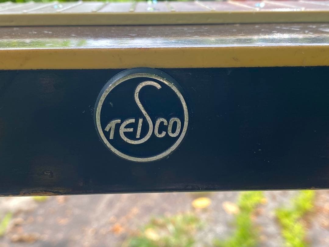 TEISCOテスコ製8弦ペダルスチールギター Model EG-DH 希少‼︎