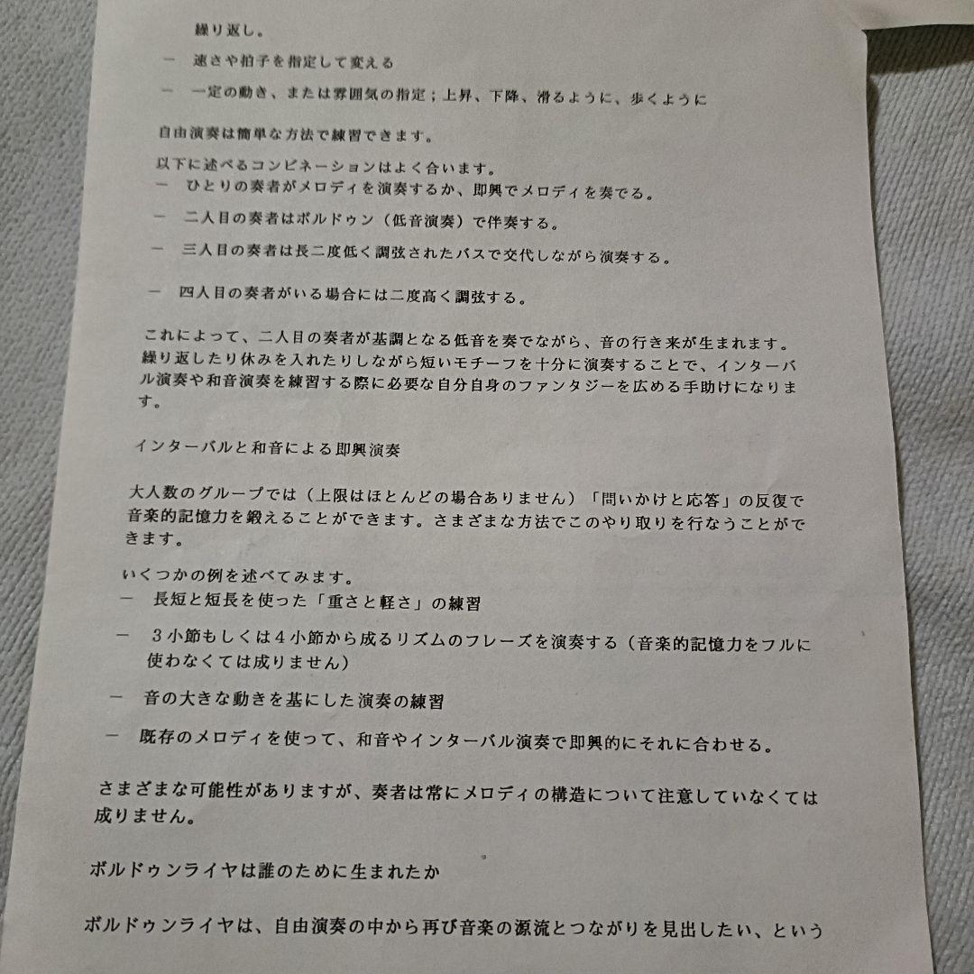 【美品】36弦　ボーデンライアー ライヤー choroi ハープ　竪琴　弦楽器