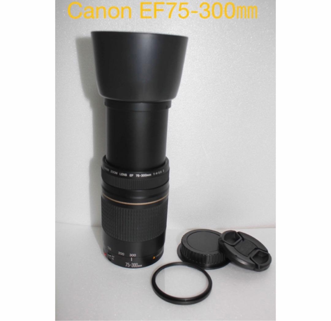 人気の望遠レンズ☆フード付き☆キヤノン Canon EF75-300㎜