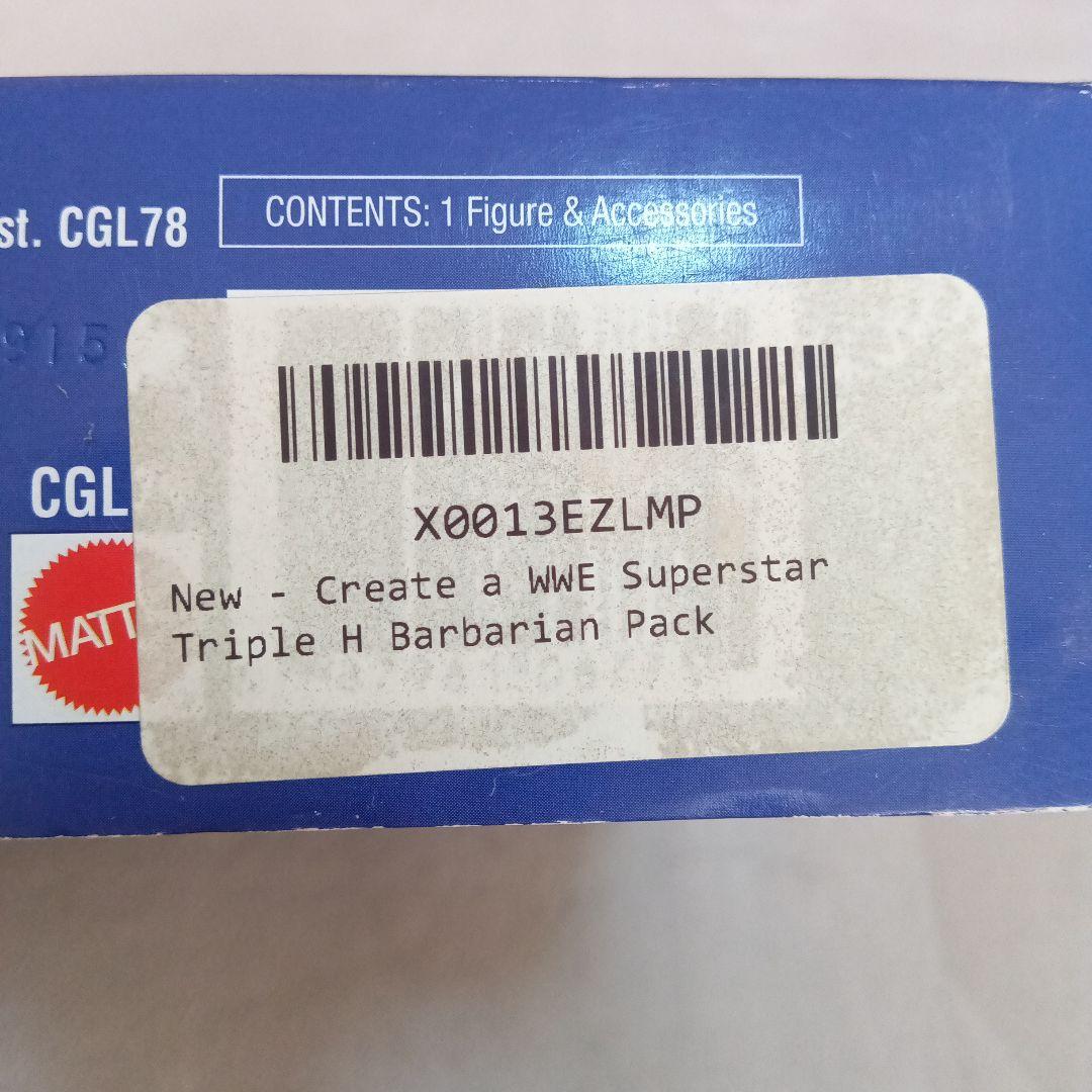 ★未開封・未使用★　WWE プロレスフィギュア トリプルH