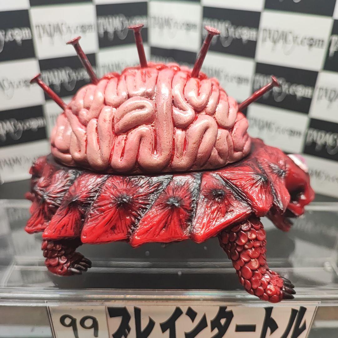 99ブレインタートル