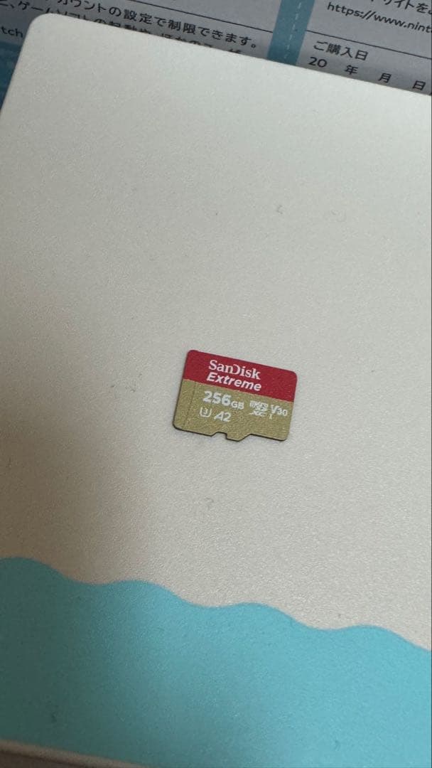 Nintendo Switch本体 どうぶつの森ver 256GB SD&ケース