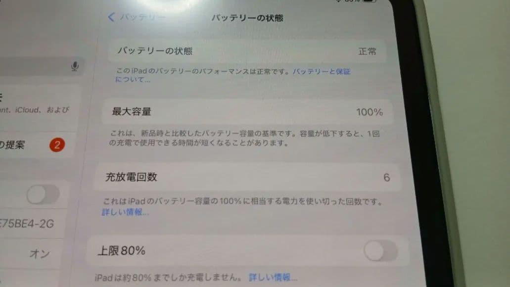 ほぼ新品 iPadPro M4 256 11インチ シルバー Cellular