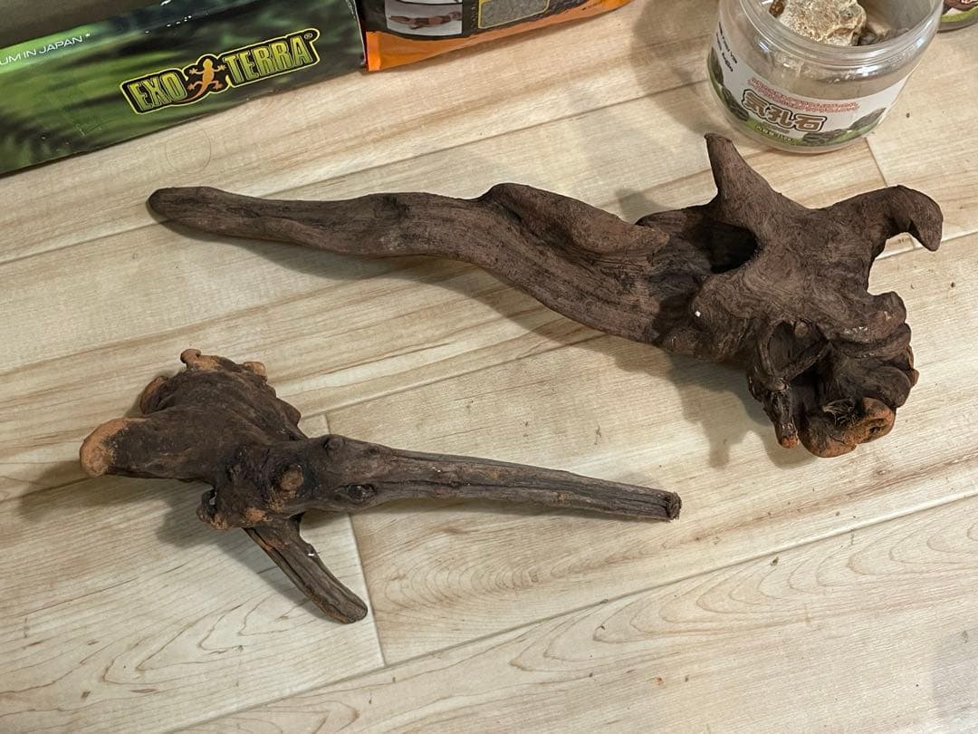 すぐ飼育可！GEX エキゾテラ グラステラリウム 3045 豪華12点おまけつき