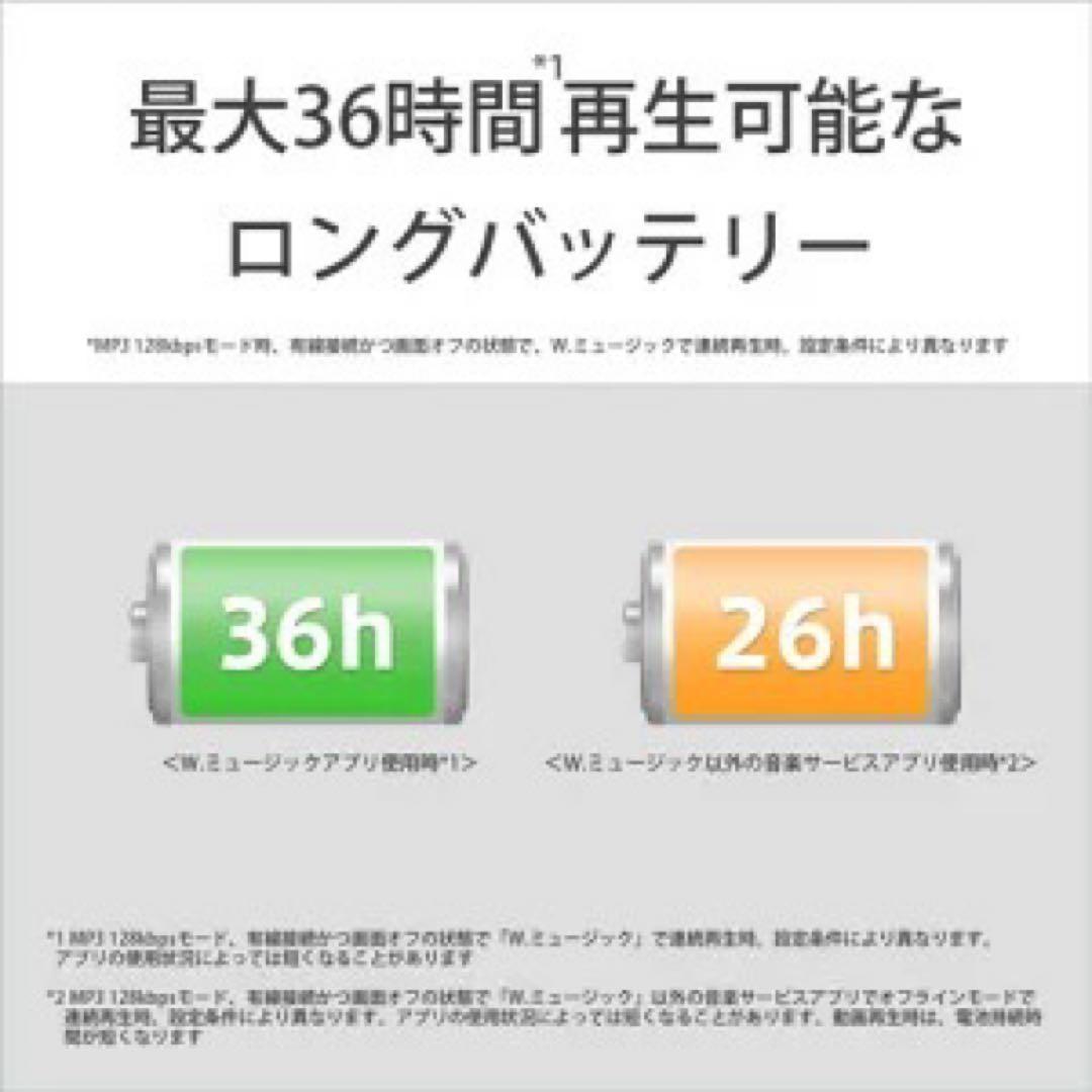 ソニー　ウォークマン　Sony Walkman NW-A307 64GB 新品