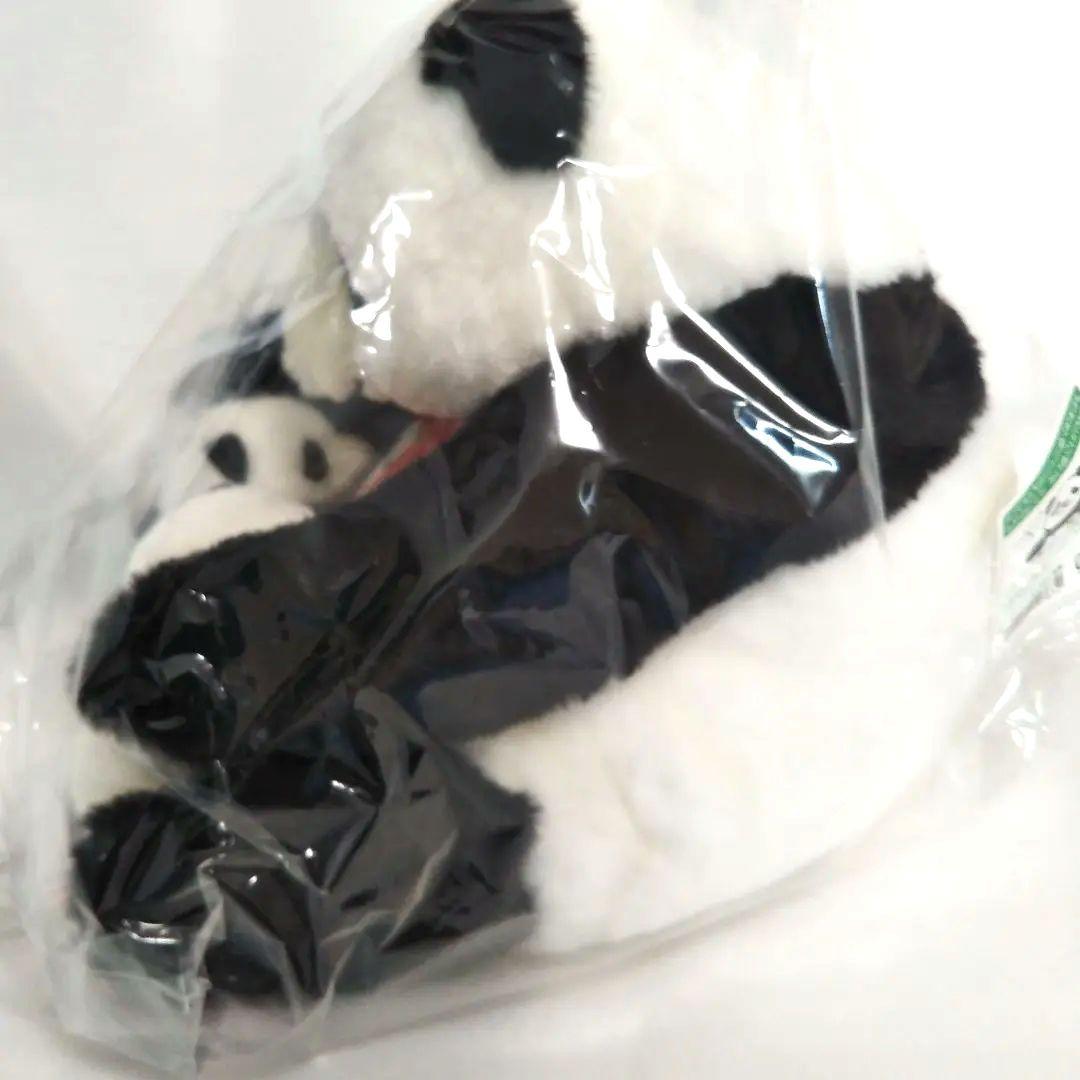 上野動物園 パンダ シャオシャオレイレイ 親子パンダ＆マルチケース ＆ファイル