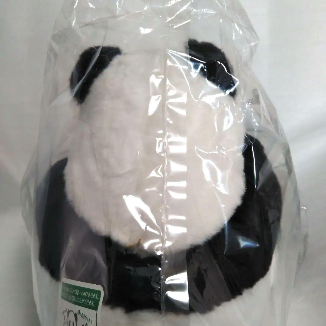 上野動物園 パンダ シャオシャオレイレイ 親子パンダ＆マルチケース ＆ファイル