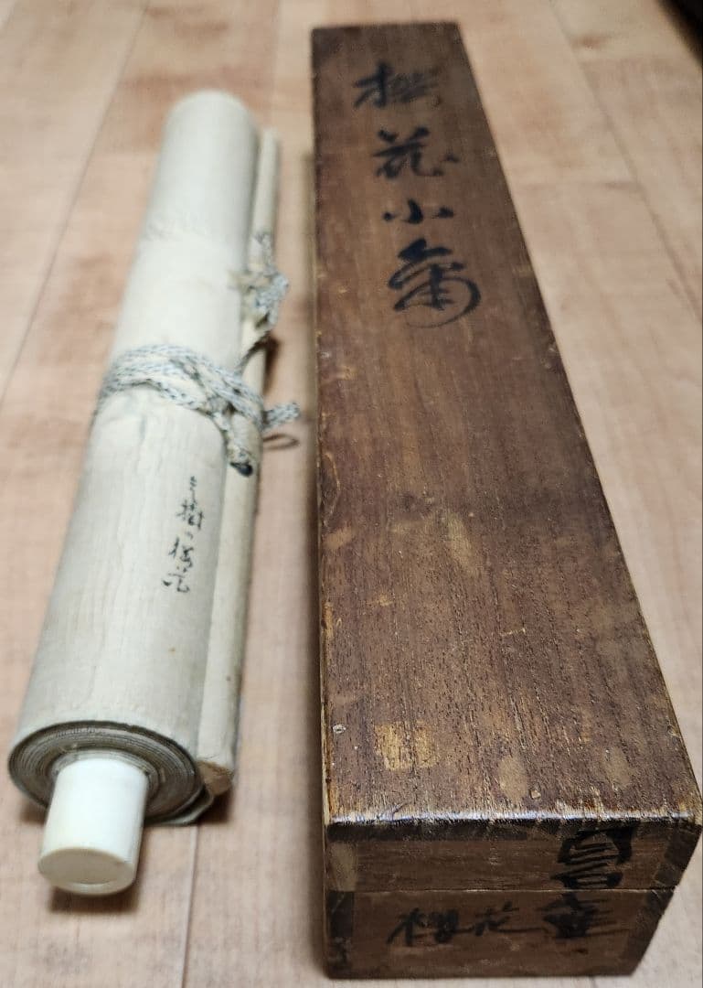 【桜花目白図】今井景樹 2669 サクラにメジロ 共箱 掛け軸 肉筆