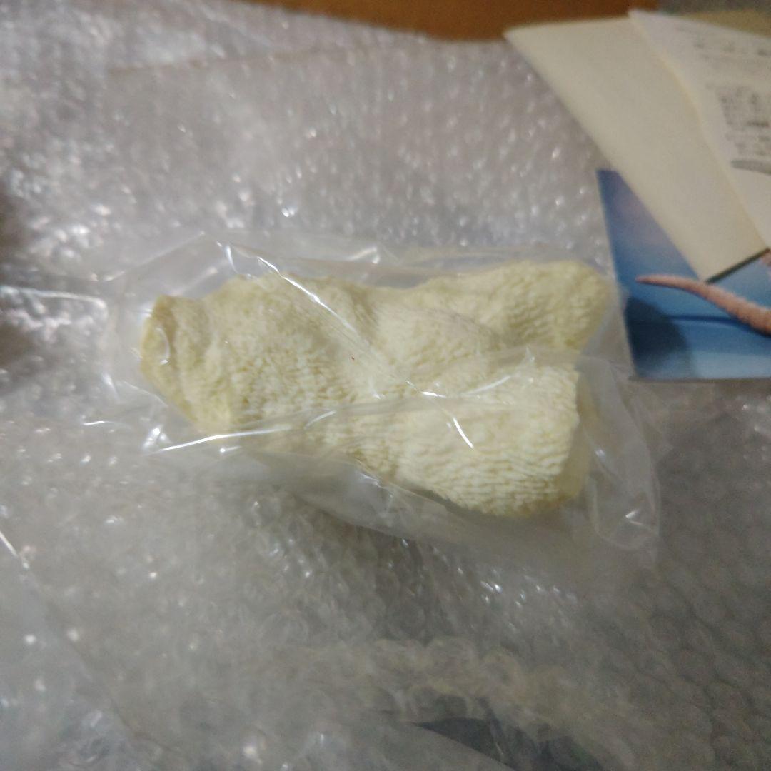 ゴジラ　酒井ゆうじ造型工房　南海ゴジラ出現　ガレージキット　未組立