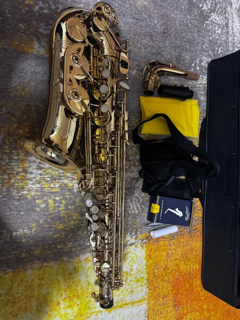 や*す様 Kaerntner アルトサクソフォンセット