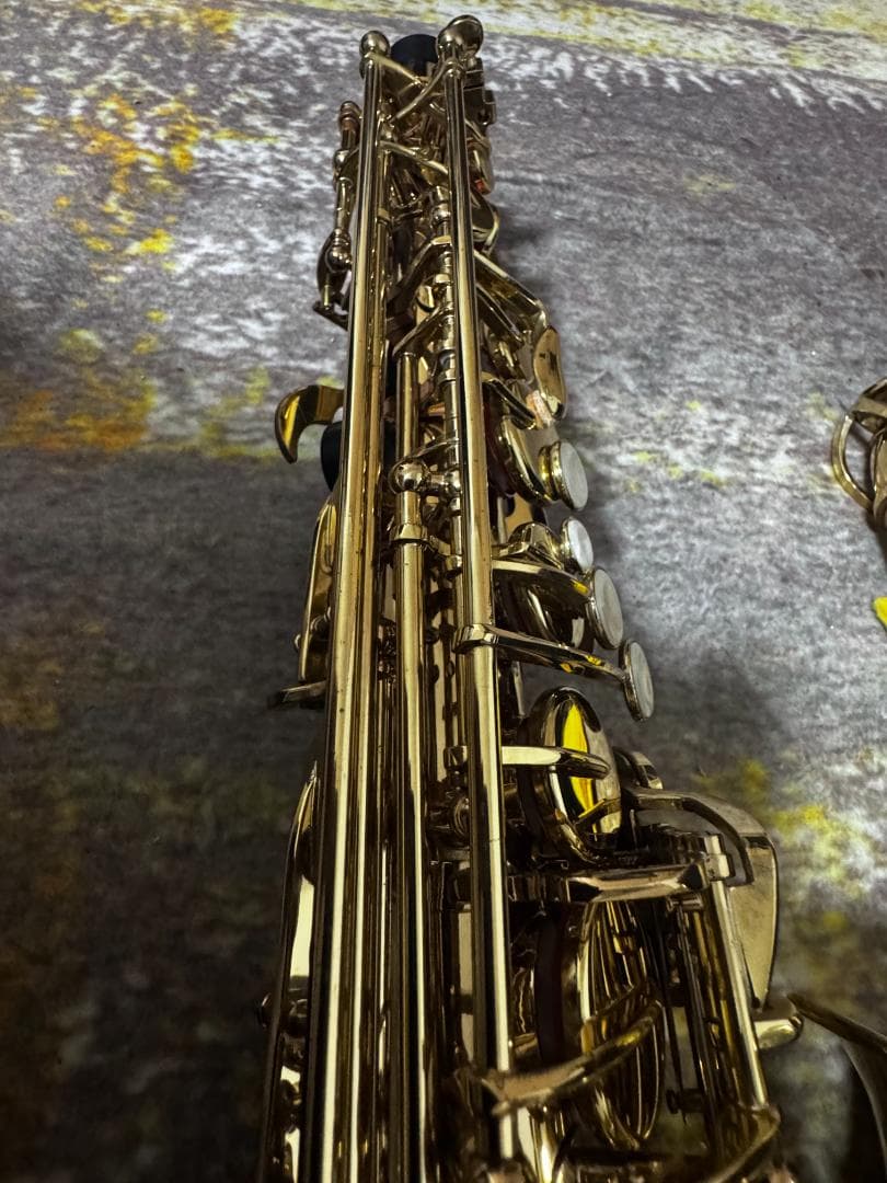 や*す様 Kaerntner アルトサクソフォンセット