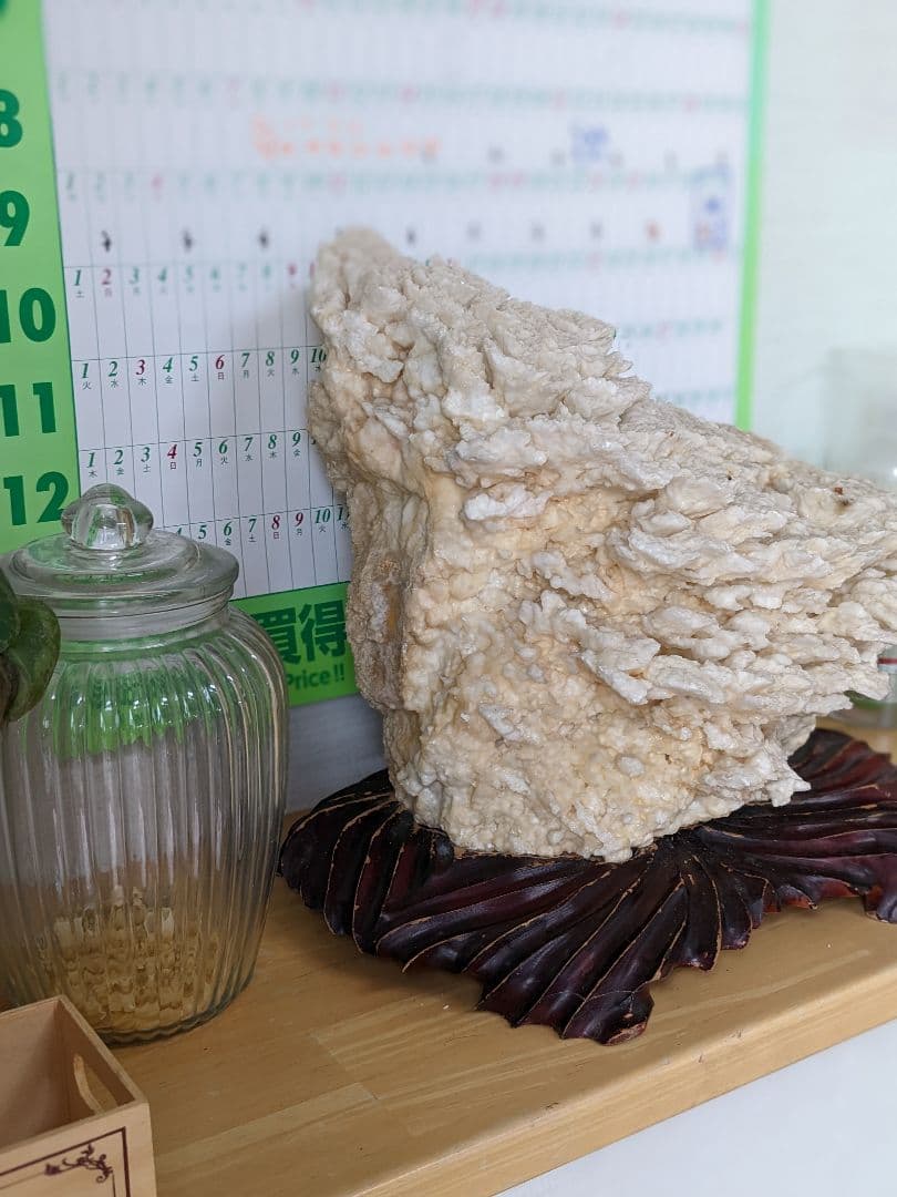 珊瑚礁　海の宝