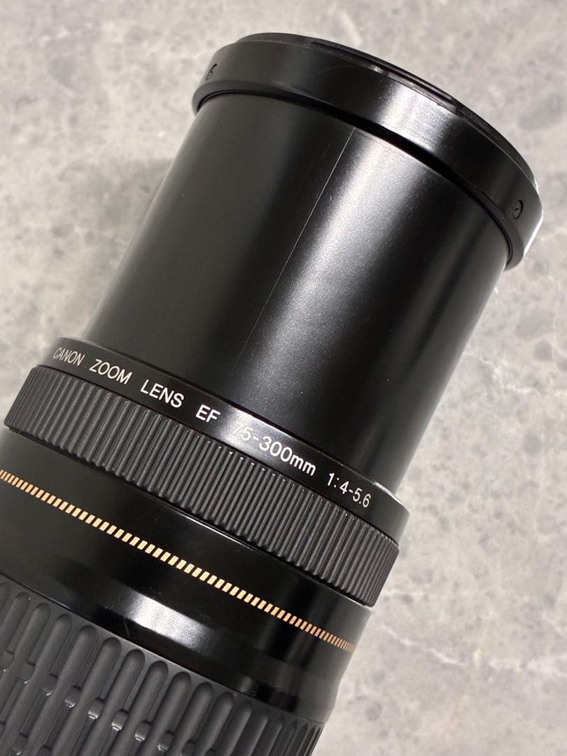 ⭐️美品⭐️Canon EF 75-300mm F/4-5.6 USM 望遠レンズ