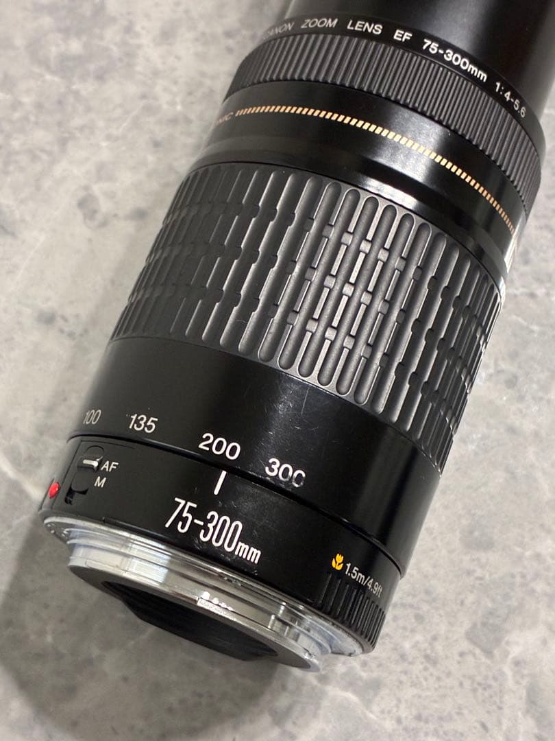 ⭐️美品⭐️Canon EF 75-300mm F/4-5.6 USM 望遠レンズ