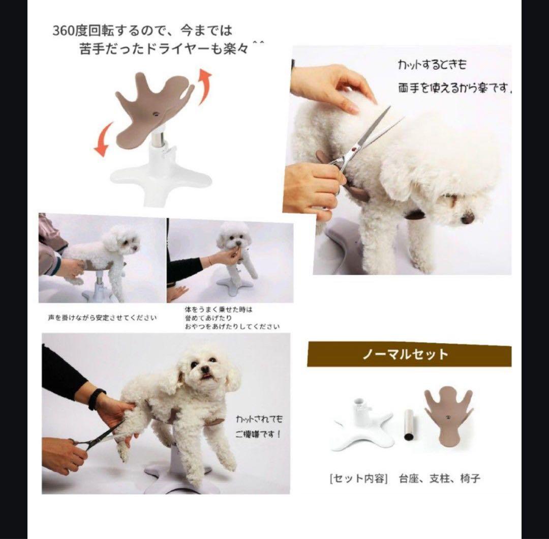 SamsonSalon サムソンサロン⭐︎ワンちゃん爪切り　トリミング