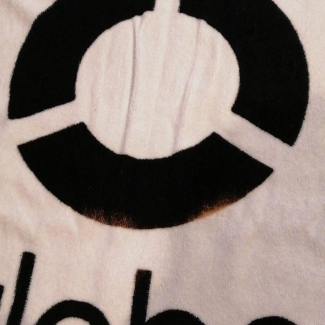 globe　ツアータオル　小室氏使用？